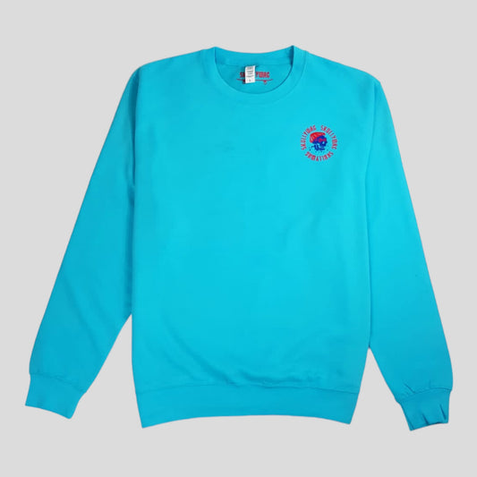 Aqua marine sweater/red and blue logo